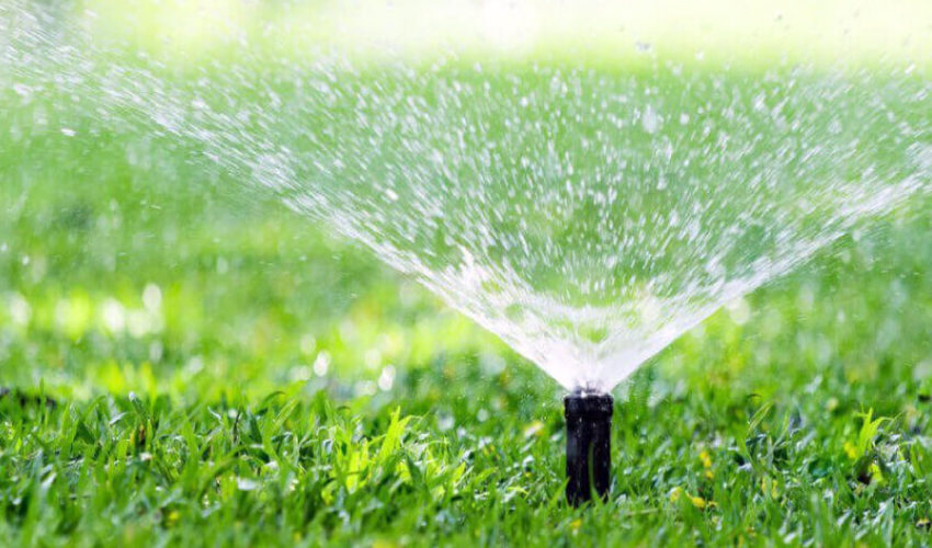 Irrigazioni giardino: come fare durante la siccità? - Speed casa